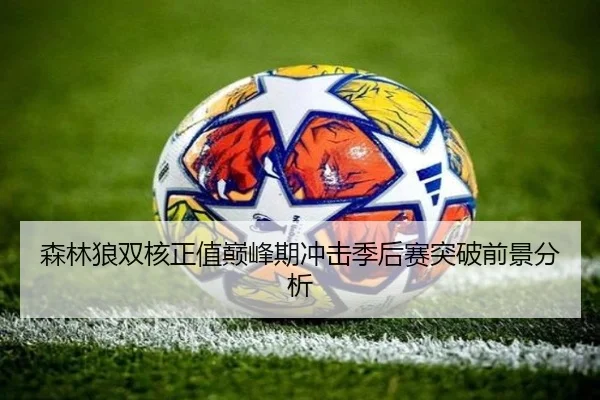森林狼双核正值巅峰期冲击季后赛突破前景分析